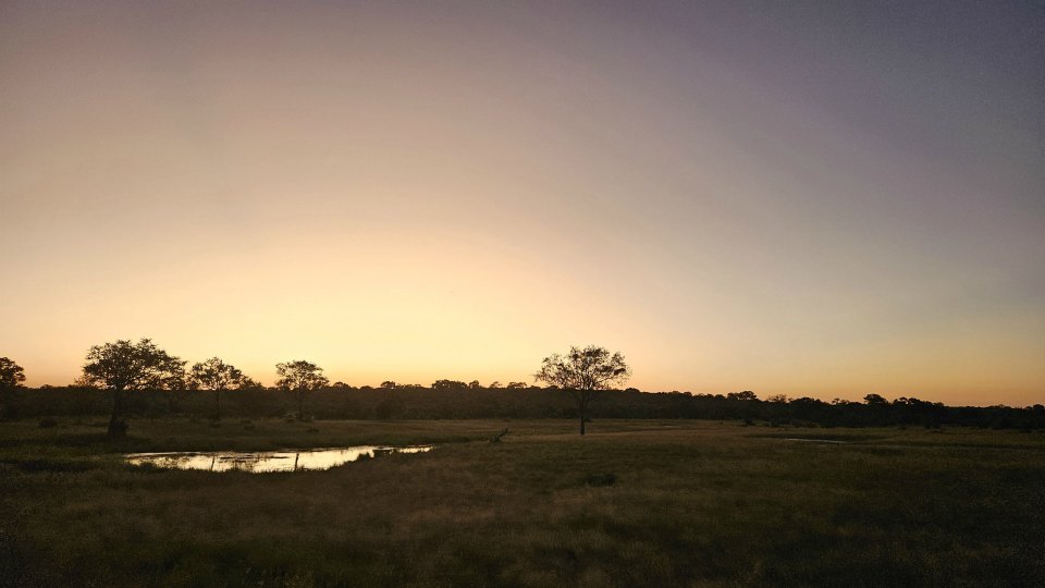 <h2>The Best of South Africa Escorted 2023</h2> 14 Nights | 6 Rounds | March 11 - 25